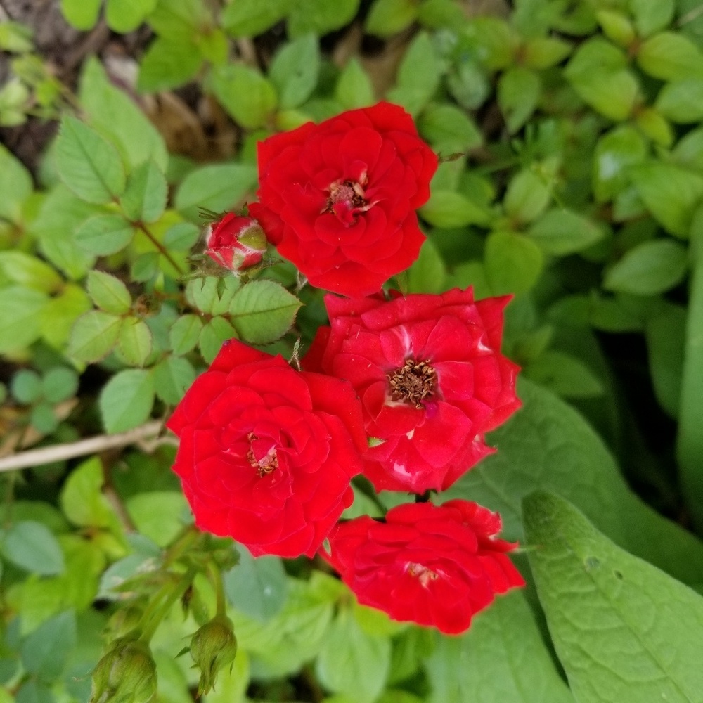 Meet your Posher, Jess